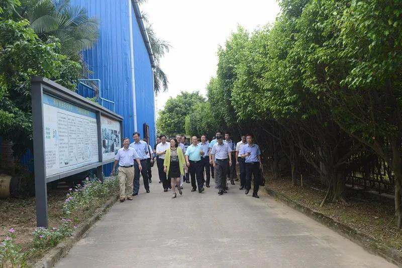 1555492828411398.jpg 14.jpg