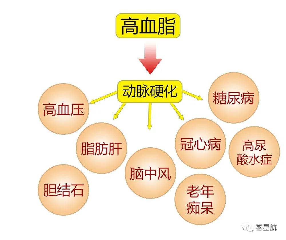 關(guān)于高血壓、糖尿病患者，9月1日起城鄉(xiāng)居民醫(yī)保門診用藥保(圖3)